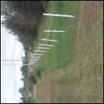 Horse fence posts near driveway