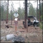 Front gate after thinning