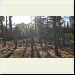 Cabin pilings started Cabin pilings started