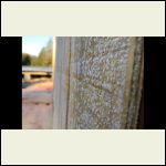 IMG_3221.PNG IMG_3221.PNG