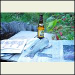 Fish and Froth Fish and Froth