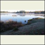 Lake from the edge of our property