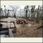 Storing trunks to dry