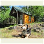 Cabin with guard dog
