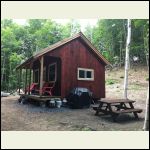 Staining the siding