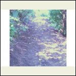 250 ft of path 250 ft of path