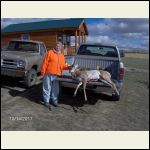 Antelope at the cabin