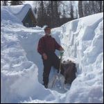 Snow Shoveling