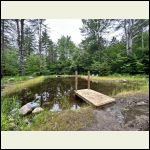 pond7.jpg