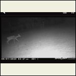 IMG_3318.jpeg