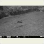 IMG_4852.jpeg