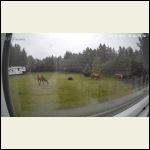 8312ezgif.comvideo.gif