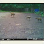 IMG_5304.jpeg