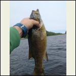 Out fishing Out fishing