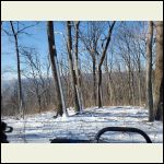 Winblown Snow on Trees