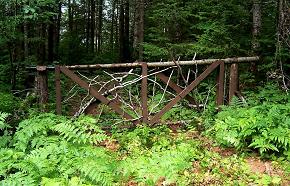 Small Cabin Property Gate Image